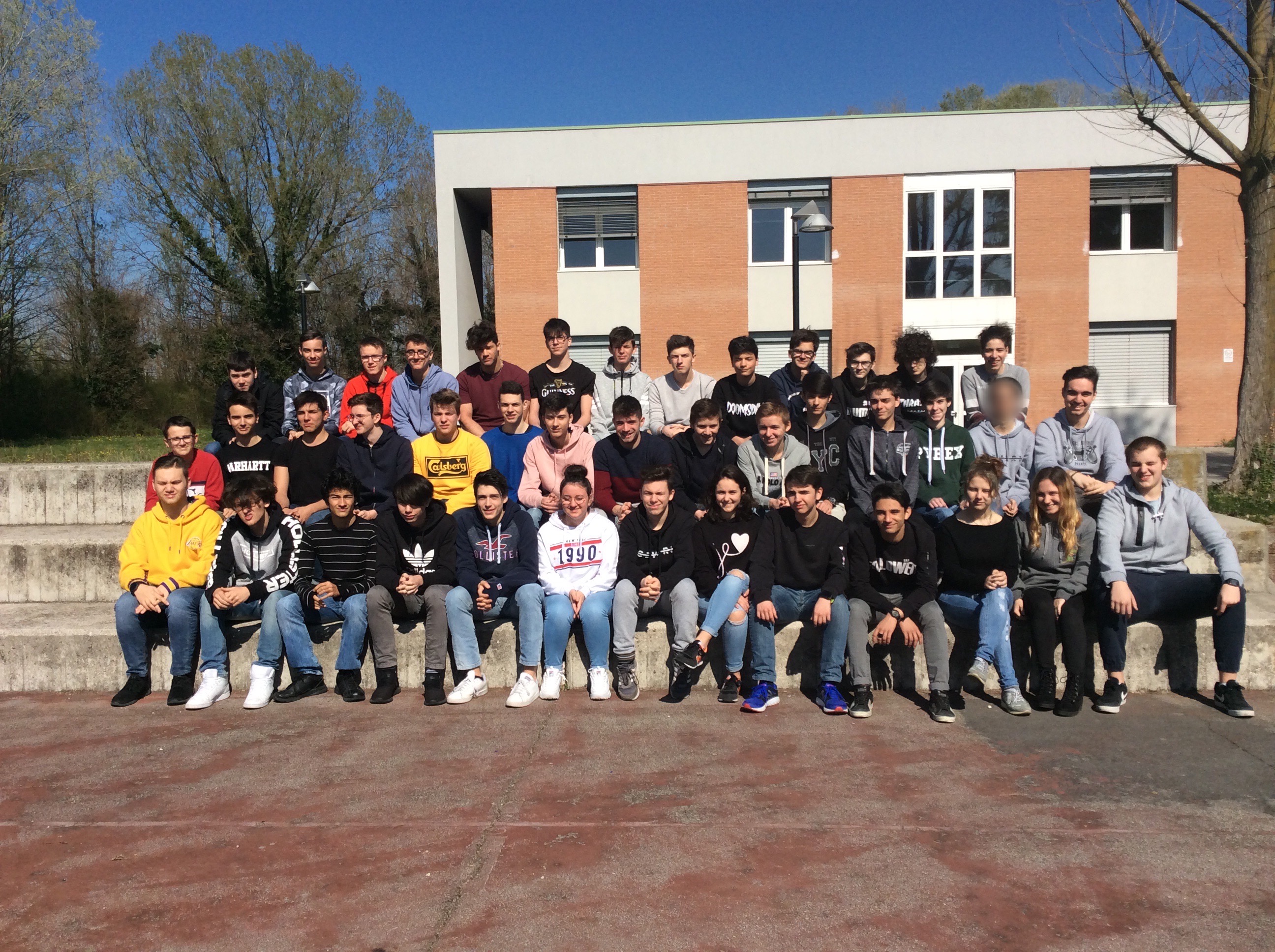 Disposizioni in materia di tutela del patrimonio “verde” delle aree comunali